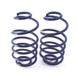 Ridetech - Ridetech 11244799 2" Lowering Rear Dual Rate Coil Springs for 68-72 GM A-Body - Image 1