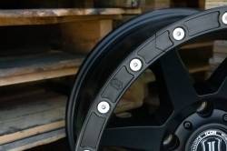 ICON Alloys - ICON Alloys 192050 17" WHEEL PROTECTOR Kit 20 BOLT - Image 3
