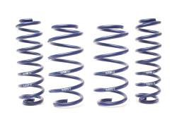 H&R Special Springs LP - H&R 28805-1 Raising Spring Kit for 11-21 Mitsubishi Outlander Sport - Image 1