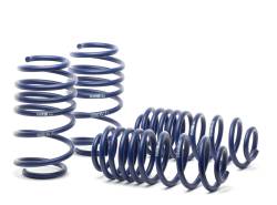 H&R Special Springs LP - H&R 54754-88 Race Spring Kit - Image 1