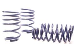 H&R Special Springs LP - H&R 50490-88 Race Spring Kit - Image 2