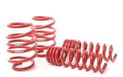 H&R Special Springs LP - H&R 50493-88 Race Spring Kit - Image 1
