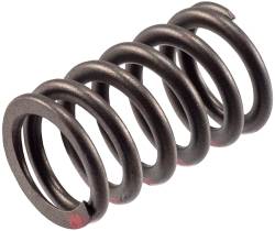 Melling - Melling VS-2483 Stock Replacement Valve Spring - Image 1