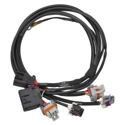 Edelbrock - Edelbrock 36122 Pro-Flo 4+ EFI Ignition & Engine Position Harness 58x Crank/Cam - Image 1