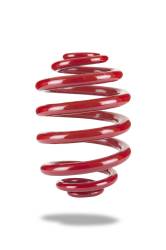 Pedders Suspension - Pedders Suspension PED-2589 Rear Coil Spring - Image 1