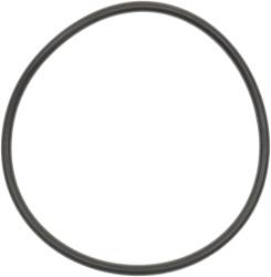 Spicer - DANA Spicer 47893 Retainer Ring/O-Ring - Image 1