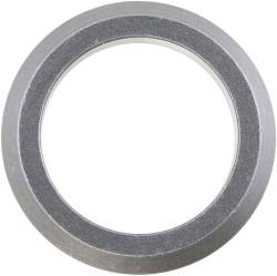 Spicer - DANA Spicer 35961 Axle Bearing Retainer - Image 1