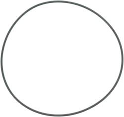 Spicer - DANA Spicer 54983 LockING Hub O-Ring - Image 1