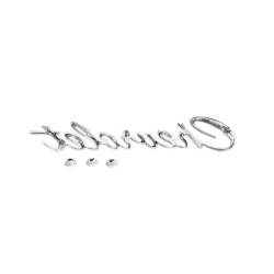 Trim Parts - Trim Parts 2570 1966 & 1968 Full-Size Chevrolet Trunk Emblem "Chevrolet" EACH - Image 3