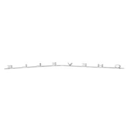 Trim Parts - Trim Parts 4313 1966 Chevelle SS Rear Panel Emblem "Chevelle" EACH - Image 3