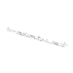Trim Parts - Trim Parts 4880 70-72 El Camino Tailgate Emblem "Chevrolet" EACH - Image 2