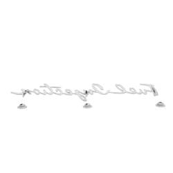 Trim Parts - Trim Parts 5153 1958-61 Corvette Front Fender Emblem "Fuel Injection" PAIR - Image 3