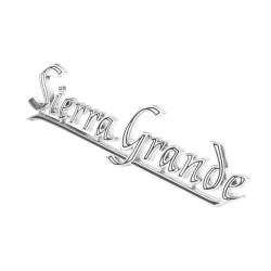 Trim Parts - Trim Parts 9760 Quarter Panel Emblem for GMC - Image 2