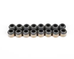Brian Tooley Racing - Brian Tooley Racing VS LS Kit Valve Seal Kit - Image 1
