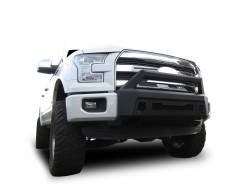 Black Horse Off Road - Black Horse AR3LD40NL Armour-3 LD Black Bumper for 15-17 Ford F150 - Image 2