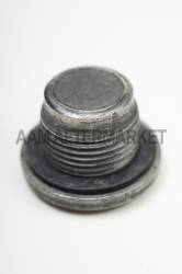 American Axle & Manufacturing - American Axle 40042937 Axle Housing Fill Plug for Chevy/Dodge/GMC/Ram Fill Plug - Image 1