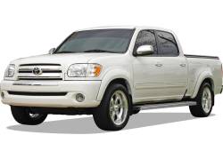 APS - APS IStep 5" Running Boards Brushed for 04-06 Tundra Double IB20EJA2A - Image 2