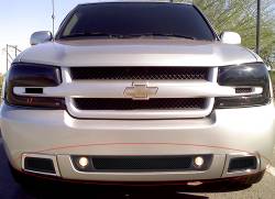 APS - APS Wire Mesh Bumper Grille Black 06-09 Chevrolet Trailblazer SS GR03GFD69H - Image 1