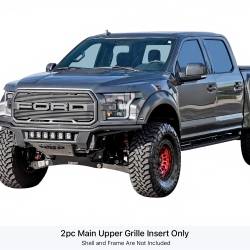 APS - APS Stainless Billet Grille Polish 17-20 Ford F150 Raptor GR06FEA54S - Image 1