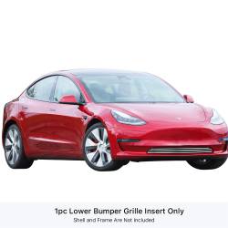 APS - APS Stainless Billet Bumper Grille Polish for 17-25 Tesla Model 3 GR20FEB34S - Image 1