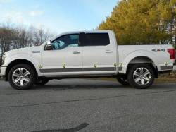 Quality Automotive Accessories - QAA TH55300 12Pc Stainless Steel Rocker Panel Trim for 2015-2020 Ford F150 - Image 2