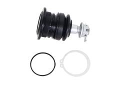 Whiteline - Whiteline KSK214 Front Upper Suspension Ball Joint for Lexus/Toyota - Image 2
