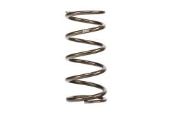 Eibach - Eibach PR1100.500.0170 Single Spring - Image 1