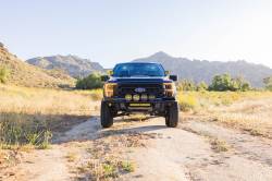 DV8 Offroad - DV8 Offroad FBFF1-13 Front Tube Bumper for 21-23 Ford F150 - Image 10