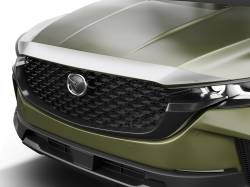 Husky Liners - Husky Liners 2892250 Aeroskin Hood Protector Chrome - Image 1