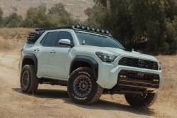 DV8 Offroad - DV8 Offroad RRTF3-02EMP Pass Rear Exterior Window MOLLE Panel for 25-26 4Runner - Image 4