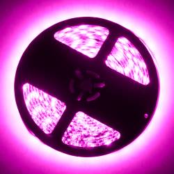 Oracle Lighting - Oracle 3802-009 Interior Flex LED 12" Strip Pink - Image 2