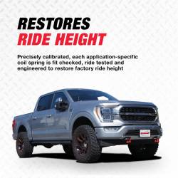 Rancho - Rancho RS551836R RS5000X Loaded Strut Assembly for 15-20 Ford F150 4WD - Image 6