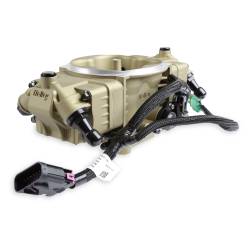 Holley EFI - Holley EFI 550-1076 Fuel Injection Conversion Kit - Image 9