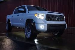 Ecoological - Ecoological GDUMG Grille Surround/Hood Trim Magnetic Gray 14-21 Toyota Tundra - Image 2