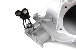 Holley EFI - Holley EFI 300-624 Engine Intake Manifold for 1900 GM LS - Image 6