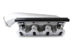 Holley EFI - Holley EFI 300-624 Engine Intake Manifold for 1900 GM LS - Image 2