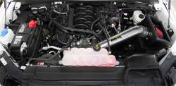AEM Induction - AEM Induction 21-8129DC Brute Force Induction System for 15-20 F150 - Image 3