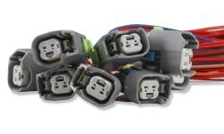 Holley EFI - Holley EFI 558-216 EV6 Unterminated Injector Harness Kit for 8 Cylinder Engines - Image 3