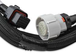 Holley EFI - Holley EFI 558-405 Transmission Fuel Injection Harness for GM 4L60/80E - Image 3
