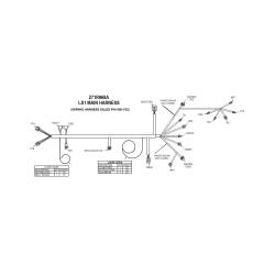 Holley EFI - Holley EFI 558-102 LS1/6 24x/1x Engine Main Harness - Image 2
