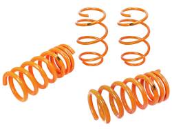 aFe Power - aFe Power 410-301001-N Coil Spring Lowering Kit for 15-26 Ford Mustang GT 5.0 - Image 1