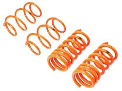 aFe Power - aFe Power 410-301001-N Coil Spring Lowering Kit for 15-26 Ford Mustang GT 5.0 - Image 2