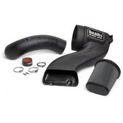 Banks Power - Banks Power 41888-D Ram-Air Intake Dry Filter for 15-17 Ford F150 5.0 - Image 2