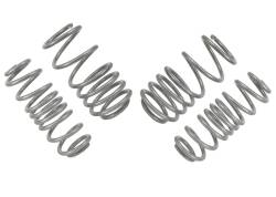 Whiteline - Whiteline WSK-VWN003 Coil Springs Lowered - Image 2