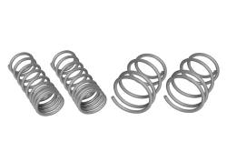 Whiteline - Whiteline WSK-SUB005 Coil Springs Lowered - Image 2