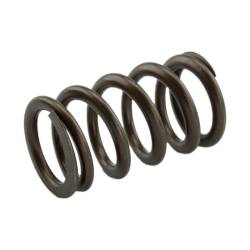 Industrial Injection - Industrial Injection PDM-160-1484S-24 Valve Springs for 98.5-18 Cummins 24V - Image 2
