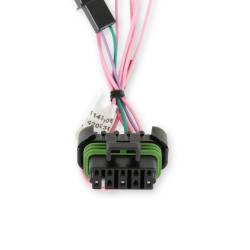 Holley EFI - Holley Sniper EFI 558-493 Dual Sync Distributor Adapter Harness - Image 3