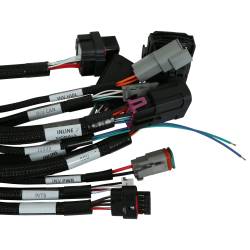 AEM Electronics - AEM Electronics 30-8601 Dash Harness Connector - Image 8