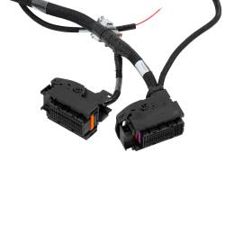 AEM Electronics - AEM Electronics 30-8603 Low Voltage Disconnect Module Wiring Harness - Image 5
