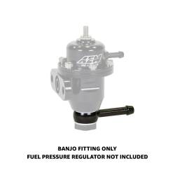AEM Electronics - AEM Electronics 25-610 Fuel Pressure Regulator Bolt - Image 6
